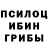 Псилоцибиновые грибы прущие грибы Jessi Ca