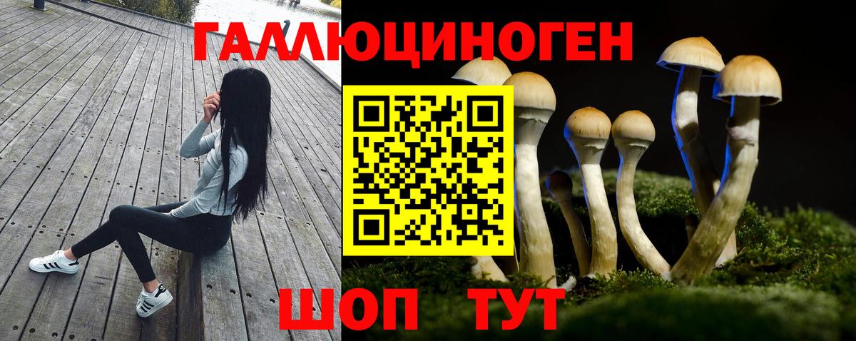 Псилоцибиновые грибы Psilocybe Шатура