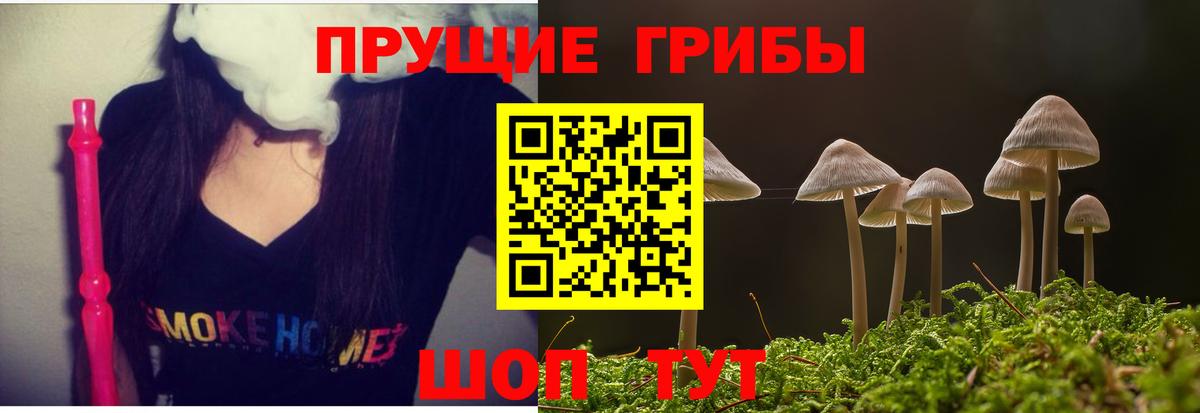 Шатура  Псилоцибиновые грибы Psilocybine cubensis  Вход с VPN 